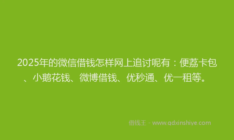 2025年的微信借钱怎样网上追讨呢有：便荔卡包、小鹅花钱、微博借钱、优秒通、优一租等。