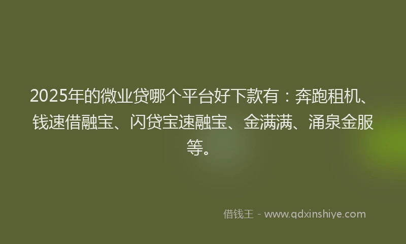 2025年的微业贷哪个平台好下款有：奔跑租机、钱速借融宝、闪贷宝速融宝、金满满、涌泉金服等。
