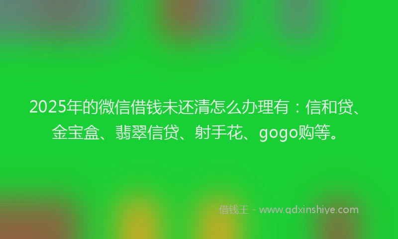2025年的微信借钱未还清怎么办理有：信和贷、金宝盒、翡翠信贷、射手花、gogo购等。