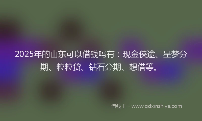 2025年的山东可以借钱吗有：现金侠途、星梦分期、粒粒贷、钻石分期、想借等。