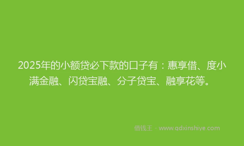 2025年的小额贷必下款的口子有：惠享借、度小满金融、闪贷宝融、分子贷宝、融享花等。