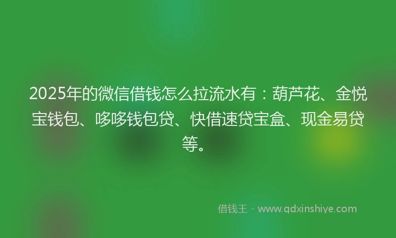 2025年的微信借钱怎么拉流水有：葫芦花、金悦宝钱包、哆哆钱包贷、快借速贷宝盒、现金易贷等。