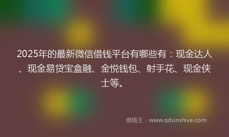 2025年的最新微信借钱平台有哪些有：现金达人、现金易贷宝盒融、金悦钱包、射手花、现金侠士等。