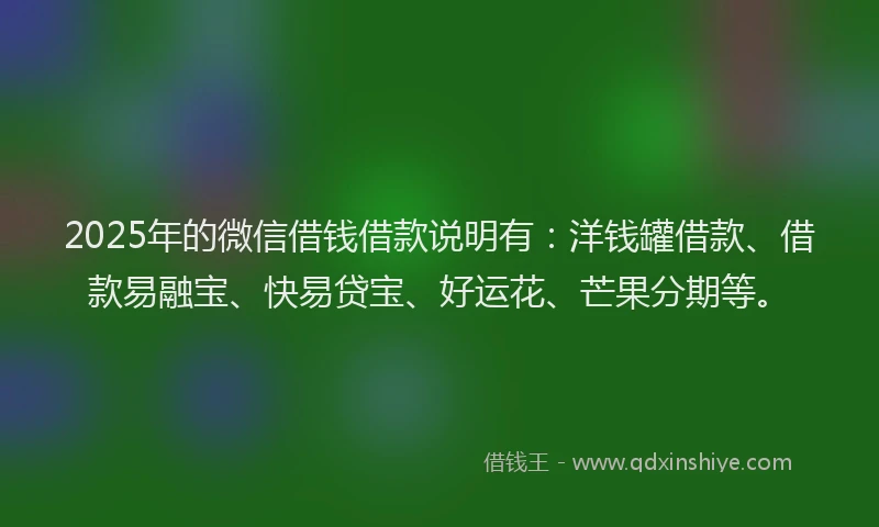2025年的微信借钱借款说明有：洋钱罐借款、借款易融宝、快易贷宝、好运花、芒果分期等。