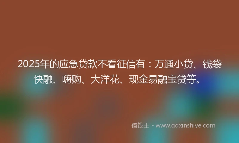 2025年的应急贷款不看征信有：万通小贷、钱袋快融、嗨购、大洋花、现金易融宝贷等。