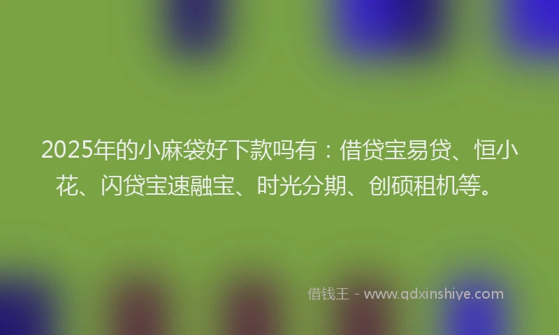 2025年的小麻袋好下款吗有：借贷宝易贷、恒小花、闪贷宝速融宝、时光分期、创硕租机等。