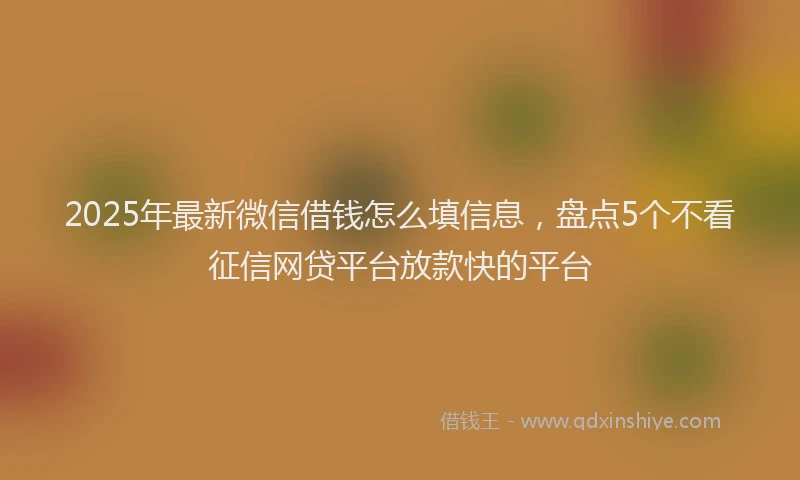 2025年最新微信借钱怎么填信息，盘点5个不看征信网贷平台放款快的平台