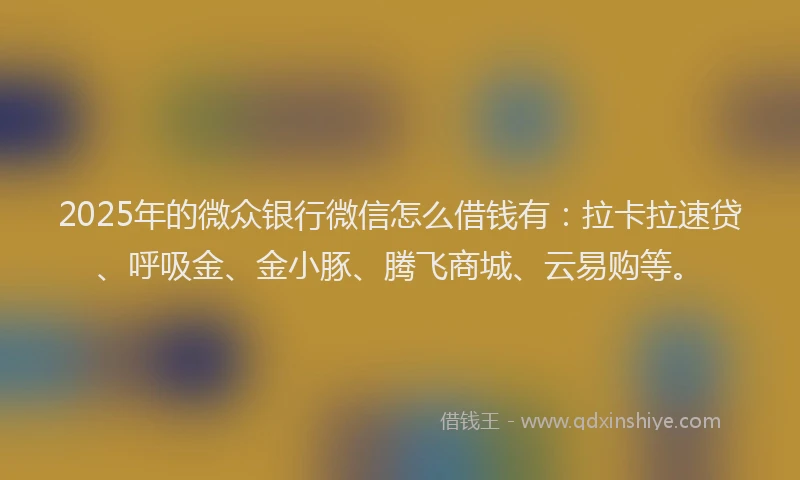 2025年的微众银行微信怎么借钱有：拉卡拉速贷、呼吸金、金小豚、腾飞商城、云易购等。