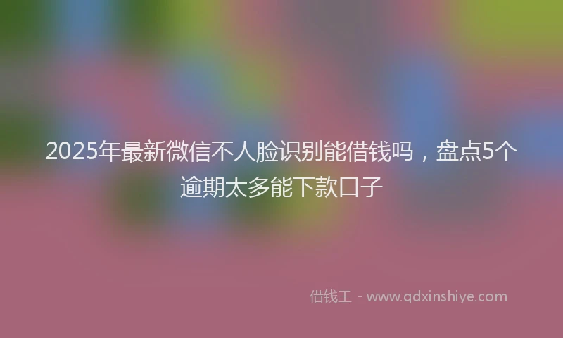 2025年最新微信不人脸识别能借钱吗，盘点5个逾期太多能下款口子