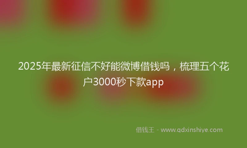 2025年最新征信不好能微博借钱吗，梳理五个花户3000秒下款app