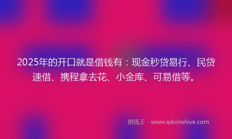 2025年的开口就是借钱有：现金秒贷易行、民贷速借、携程拿去花、小金库、可易借等。
