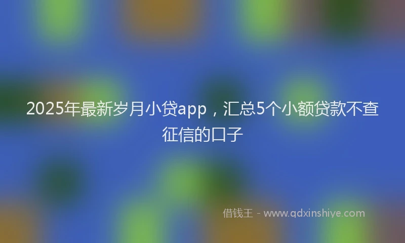 2025年最新岁月小贷app，汇总5个小额贷款不查征信的口子