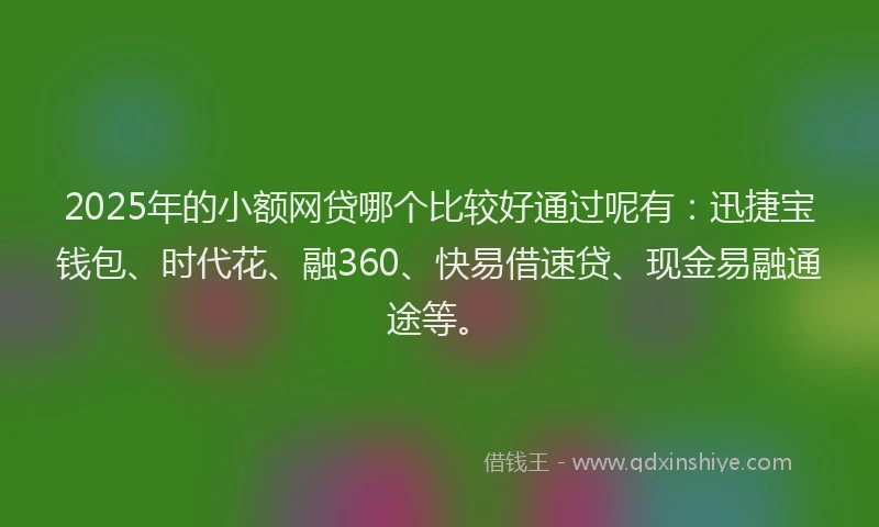 2025年的小额网贷哪个比较好通过呢有：迅捷宝钱包、时代花、融360、快易借速贷、现金易融通途等。