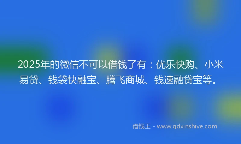 2025年的微信不可以借钱了有：优乐快购、小米易贷、钱袋快融宝、腾飞商城、钱速融贷宝等。