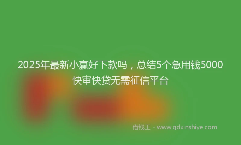 2025年最新小赢好下款吗，总结5个急用钱5000快审快贷无需征信平台