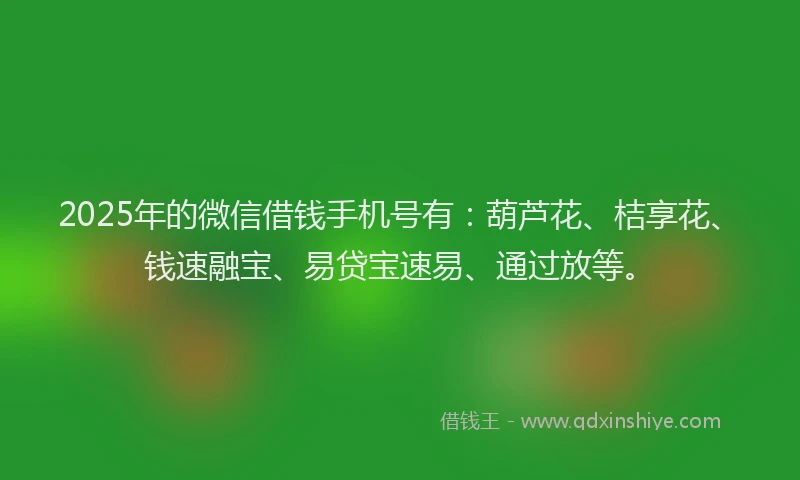 2025年的微信借钱手机号有：葫芦花、桔享花、钱速融宝、易贷宝速易、通过放等。