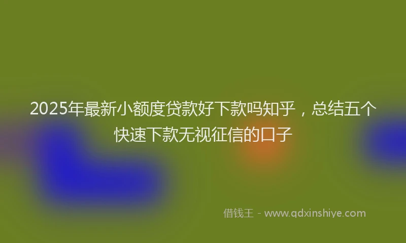 2025年最新小额度贷款好下款吗知乎，总结五个快速下款无视征信的口子