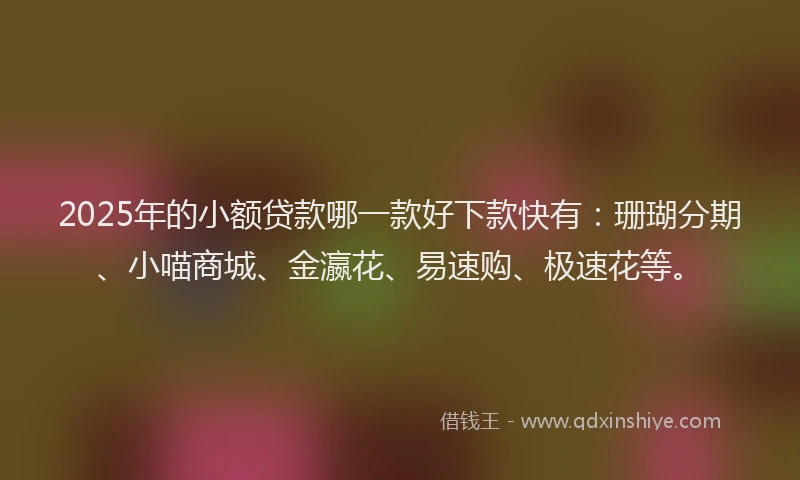 2025年的小额贷款哪一款好下款快有:珊瑚分期、小喵商城、金瀛花、易速购、极速花等。