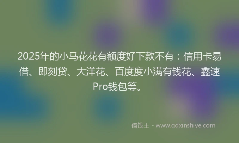 2025年的小马花花有额度好下款不有：信用卡易借、即刻贷、大洋花、百度度小满有钱花、鑫速Pro钱包等。
