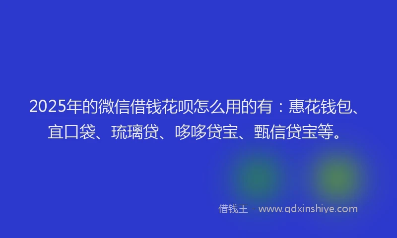 2025年的微信借钱花呗怎么用的有：惠花钱包、宜口袋、琉璃贷、哆哆贷宝、甄信贷宝等。