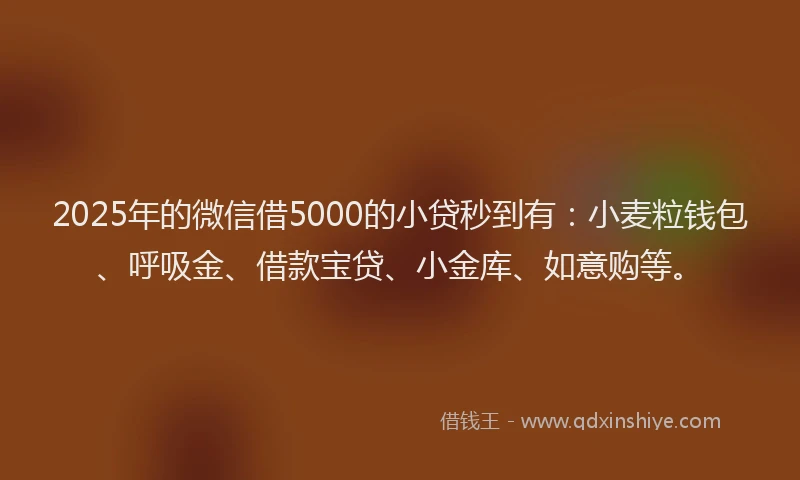 2025年的微信借5000的小贷秒到有：小麦粒钱包、呼吸金、借款宝贷、小金库、如意购等。