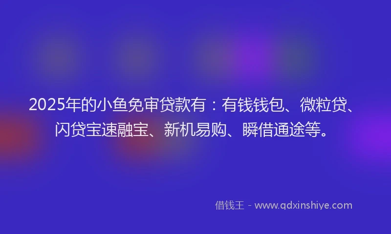 2025年的小鱼免审贷款有:有钱钱包、微粒贷、闪贷宝速融宝、新机易购、瞬借通途等。
