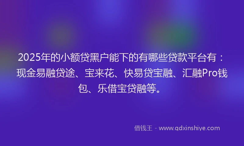 2025年的小额贷黑户能下的有哪些贷款平台有：现金易融贷途、宝来花、快易贷宝融、汇融Pro钱包、乐借宝贷融等。