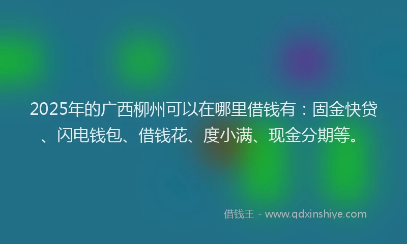 2025年的广西柳州可以在哪里借钱有：固金快贷、闪电钱包、借钱花、度小满、现金分期等。