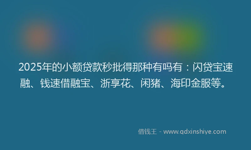 2025年的小额贷款秒批得那种有吗有：闪贷宝速融、钱速借融宝、浙享花、闲猪、海印金服等。