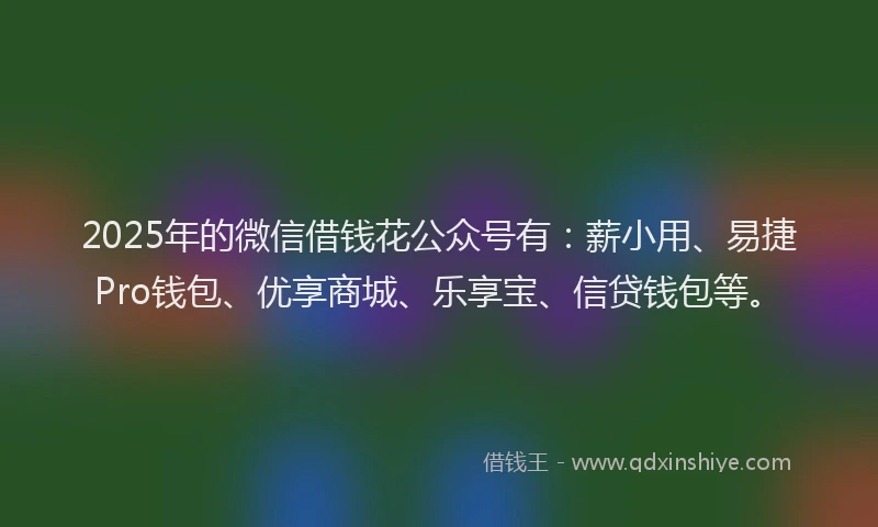 2025年的微信借钱花公众号有：薪小用、易捷Pro钱包、优享商城、乐享宝、信贷钱包等。
