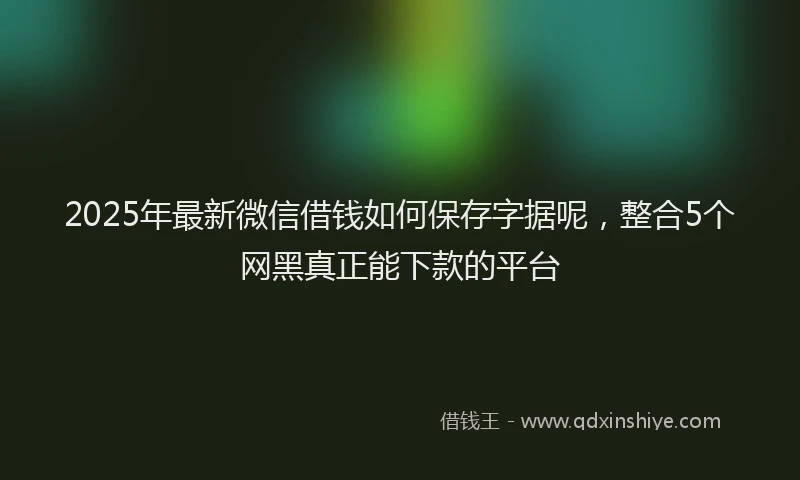 2025年最新微信借钱如何保存字据呢，整合5个网黑真正能下款的平台