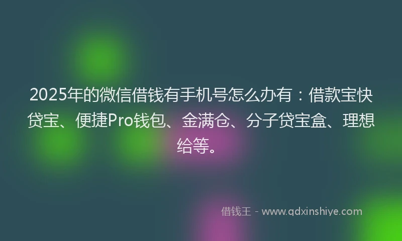 2025年的微信借钱有手机号怎么办有：借款宝快贷宝、便捷Pro钱包、金满仓、分子贷宝盒、理想给等。