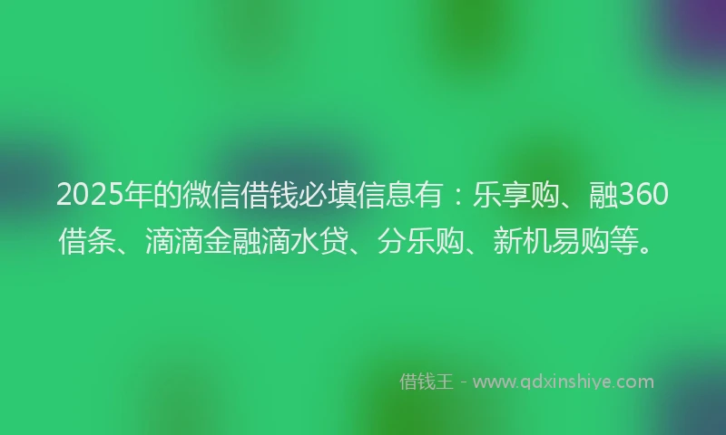 2025年的微信借钱必填信息有：乐享购、融360借条、滴滴金融滴水贷、分乐购、新机易购等。
