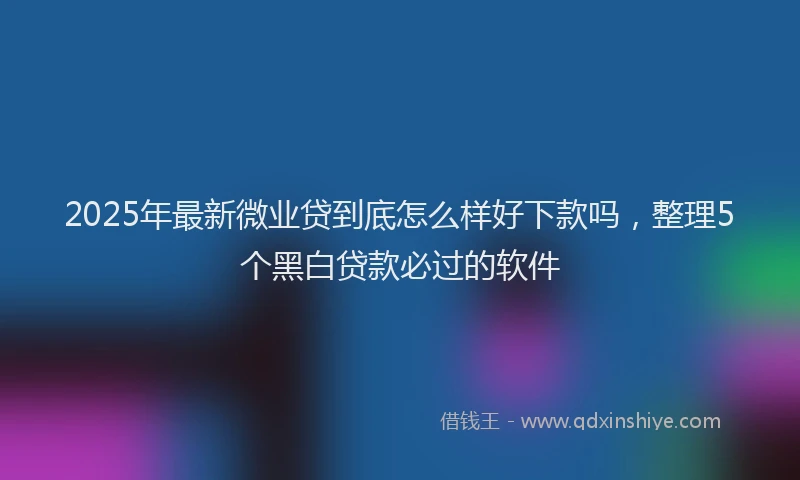 2025年最新微业贷到底怎么样好下款吗，整理5个黑白贷款必过的软件