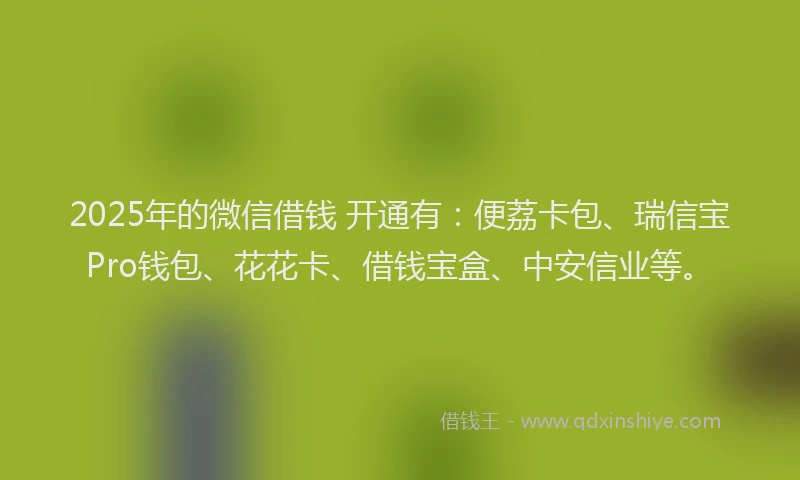 2025年的微信借钱 开通有：便荔卡包、瑞信宝Pro钱包、花花卡、借钱宝盒、中安信业等。