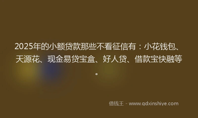 2025年的小额贷款那些不看征信有：小花钱包、天源花、现金易贷宝盒、好人贷、借款宝快融等。