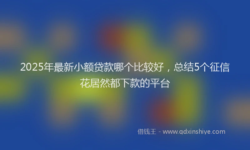 2025年最新小额贷款哪个比较好，总结5个征信花居然都下款的平台
