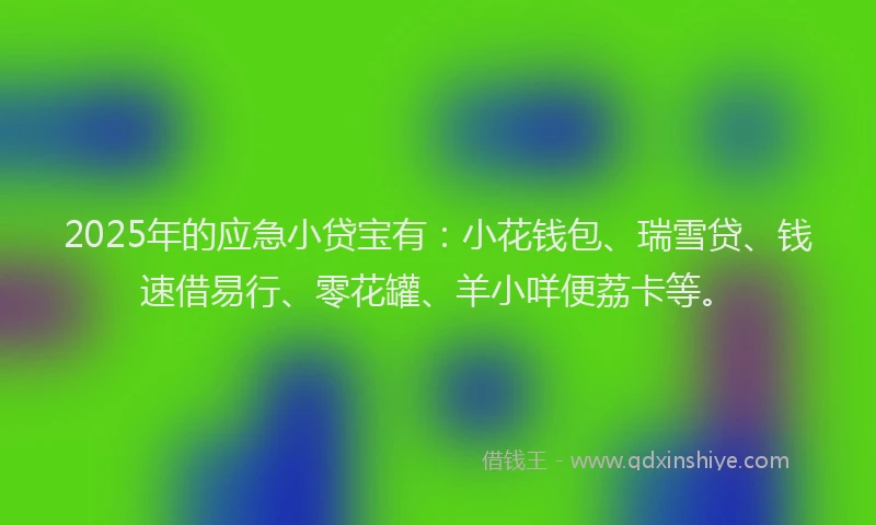 2025年的应急小贷宝有：小花钱包、瑞雪贷、钱速借易行、零花罐、羊小咩便荔卡等。