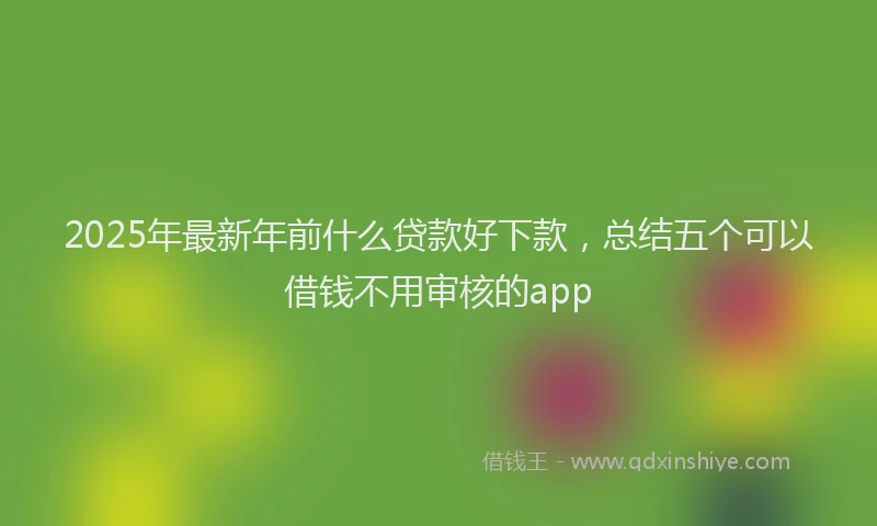 2025年最新年前什么贷款好下款，总结五个可以借钱不用审核的app