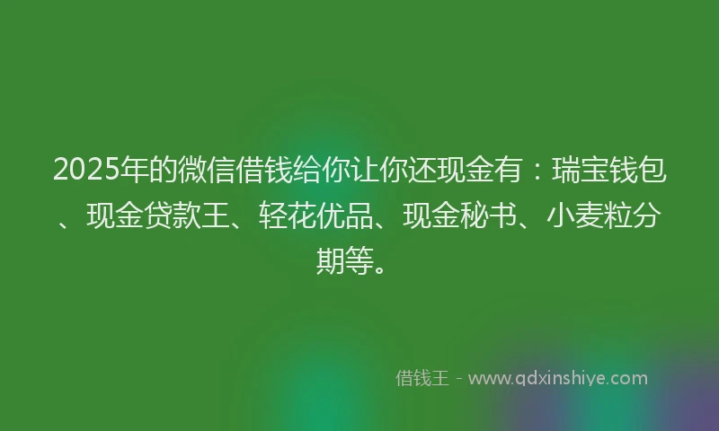 2025年的微信借钱给你让你还现金有：瑞宝钱包、现金贷款王、轻花优品、现金秘书、小麦粒分期等。