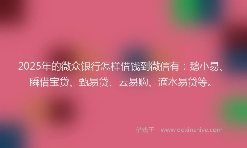 2025年的微众银行怎样借钱到微信有：鹅小易、瞬借宝贷、甄易贷、云易购、滴水易贷等。