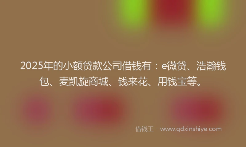 2025年的小额贷款公司借钱有：e微贷、浩瀚钱包、麦凯旋商城、钱来花、用钱宝等。