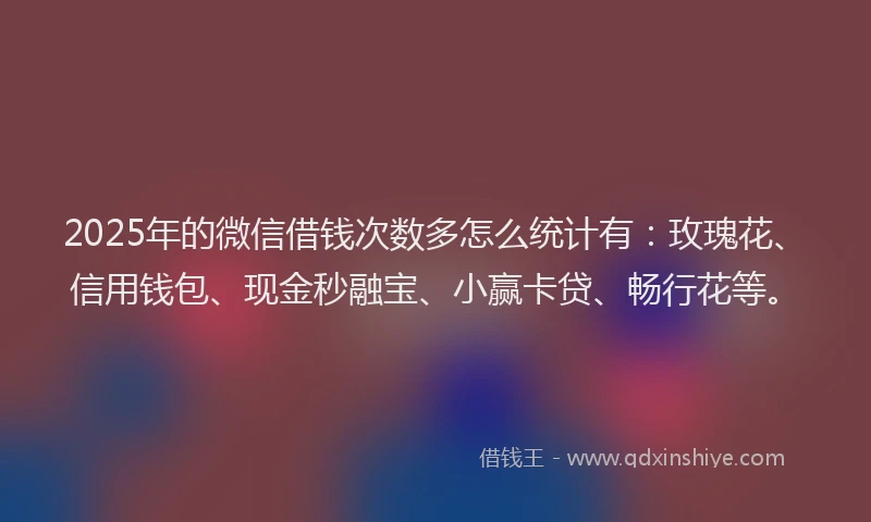 2025年的微信借钱次数多怎么统计有：玫瑰花、信用钱包、现金秒融宝、小赢卡贷、畅行花等。