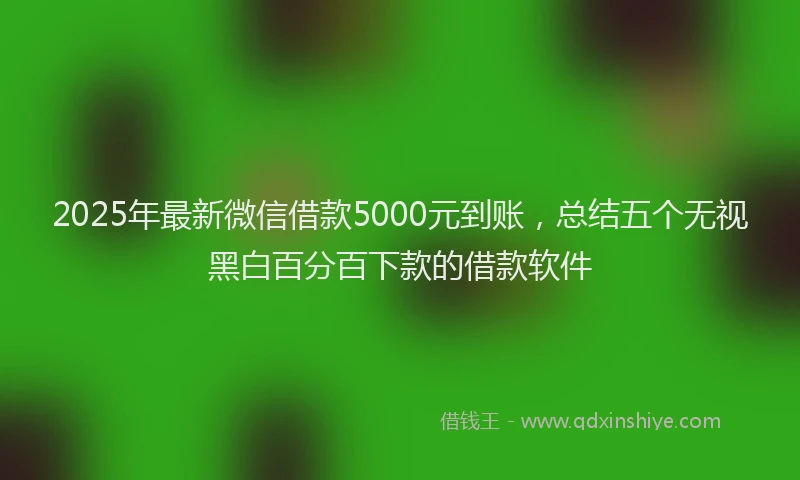 2025年最新微信借款5000元到账，总结五个无视黑白百分百下款的借款软件