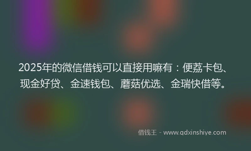 2025年的微信借钱可以直接用嘛有：便荔卡包、现金好贷、金速钱包、蘑菇优选、金瑞快借等。