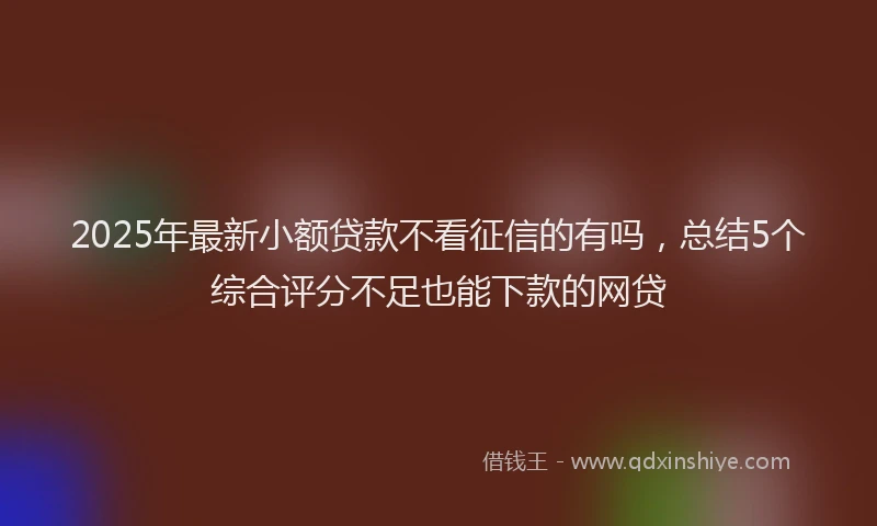 2025年最新小额贷款不看征信的有吗，总结5个综合评分不足也能下款的网贷