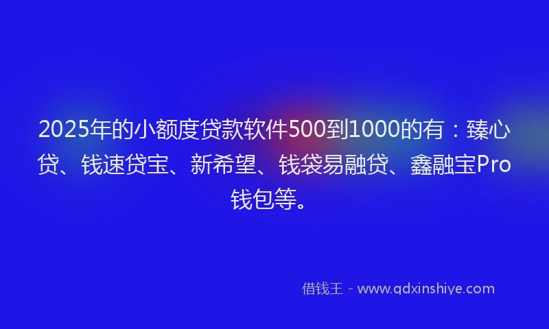 2025年的小额度贷款软件500到1000的有：臻心贷、钱速贷宝、新希望、钱袋易融贷、鑫融宝Pro钱包等。