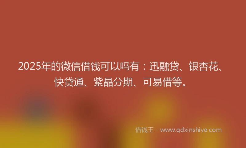 2025年的微信借钱可以吗有：迅融贷、银杏花、快贷通、紫晶分期、可易借等。