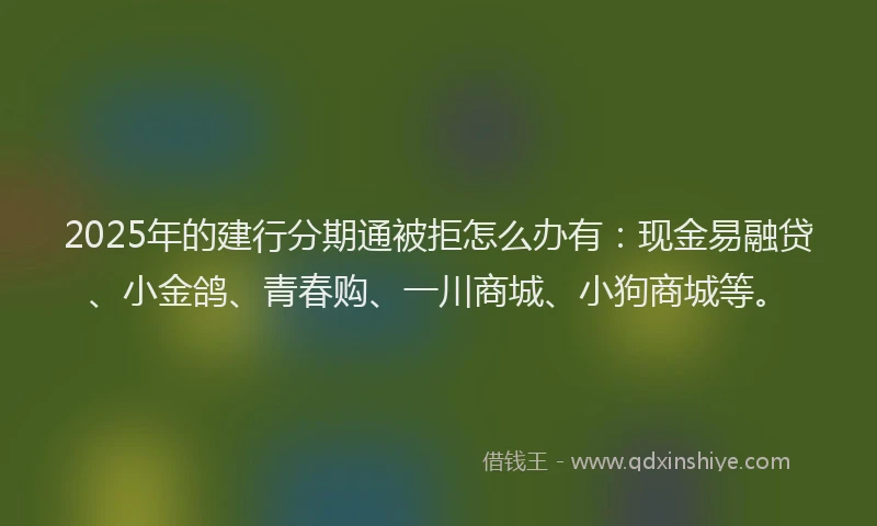 2025年的建行分期通被拒怎么办有：现金易融贷、小金鸽、青春购、一川商城、小狗商城等。