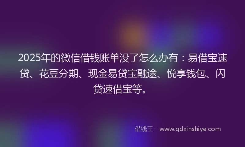 2025年的微信借钱账单没了怎么办有：易借宝速贷、花豆分期、现金易贷宝融途、悦享钱包、闪贷速借宝等。